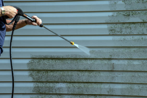 Best Sidewalk and Walkway Cleaning  in Muniz, TX